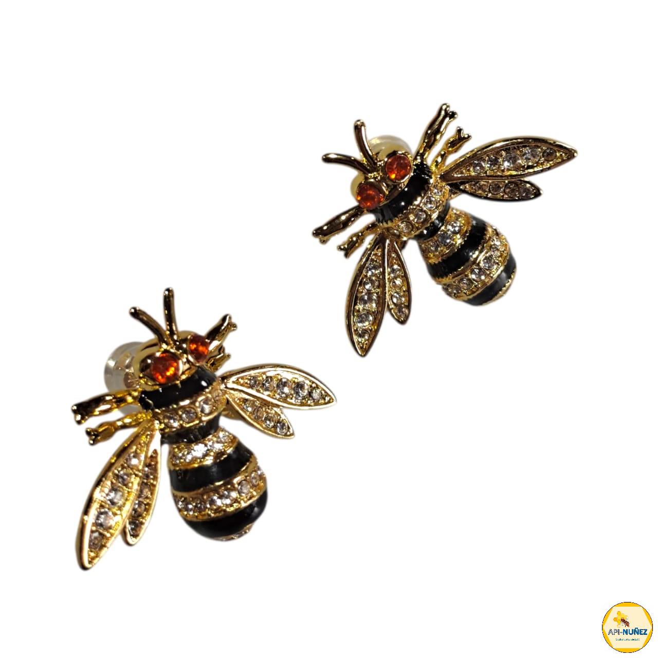 ARO Nº 10 APINUÑEZ